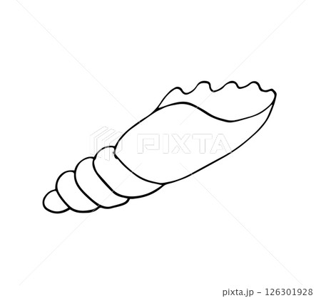 Hand-drawn Line Art Seashell Illustration Hand-drawn Line Art Seashell Illustration 126301928