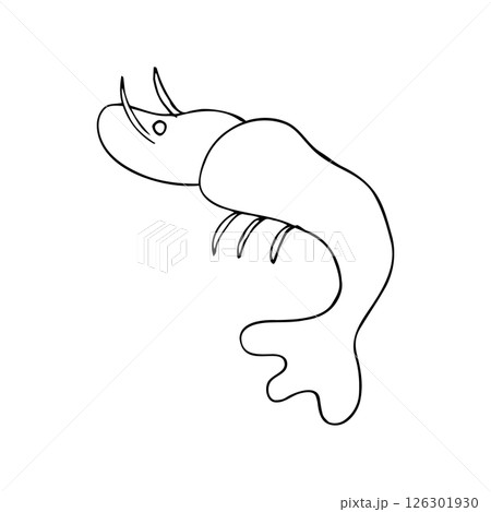 Hand-drawn Line Art Shrimp Illustration 126301930