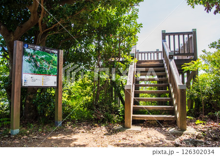 【新緑の横山展望台・みはらし展望台】三重県・伊勢志摩国立公園 【新緑の横山展望台・みはらし展望台】三重県・伊勢志摩国立公園 126302034