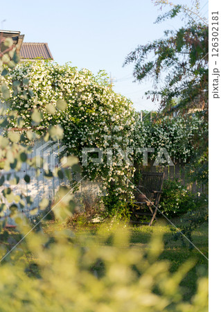 緑に囲まれたナチュラルガーデン 緑に囲まれたナチュラルガーデン 126302181