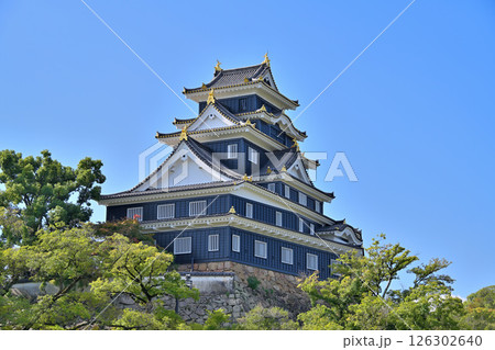 青空に映える天守閣と国の重要文化財「月見櫓」 126302640