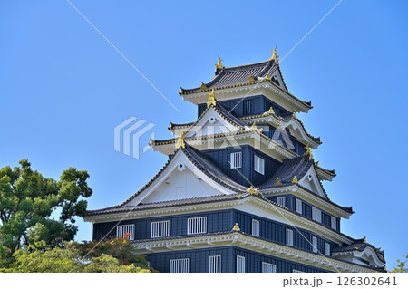 青空に映える天守閣と国の重要文化財「月見櫓」 126302641