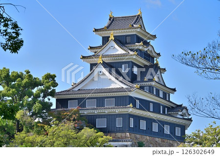 青空に映える天守閣と国の重要文化財「月見櫓」 青空に映える天守閣と国の重要文化財「月見櫓」 126302649