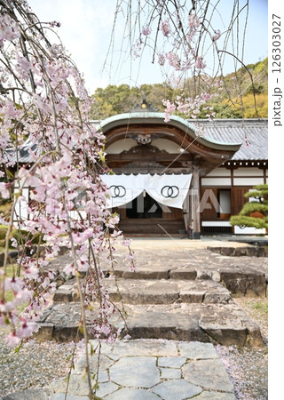 桜と龍野城 桜と龍野城 126303027