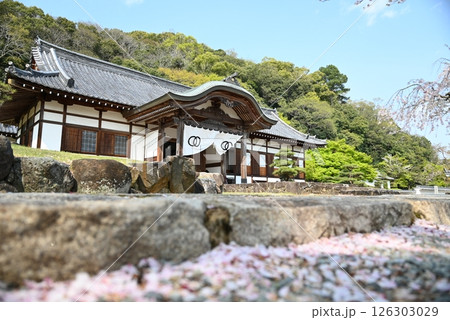 龍野城　資料館の外観 126303029