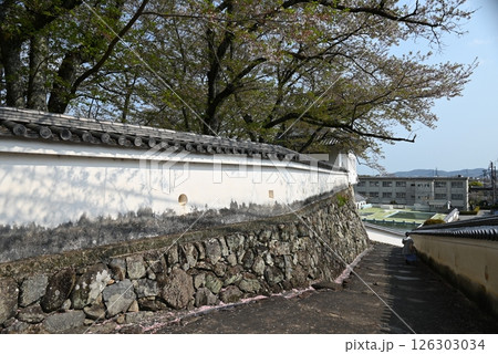 龍野城 城内風景 龍野城 城内風景 126303034