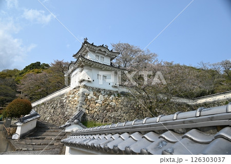 龍野城 城内風景 龍野城 城内風景 126303037