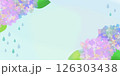 梅雨のあじさい 126303438