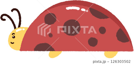 ladybug ladybug 126303502