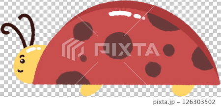 ladybug ladybug 126303502