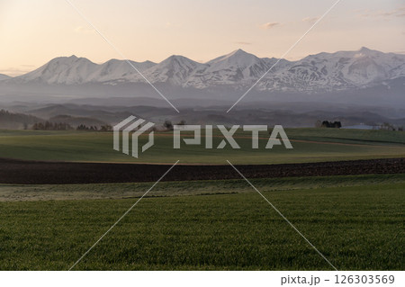 早春の丘と大地 126303569