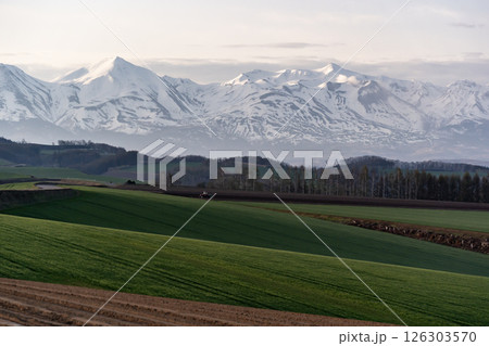 早春の丘と大地 126303570