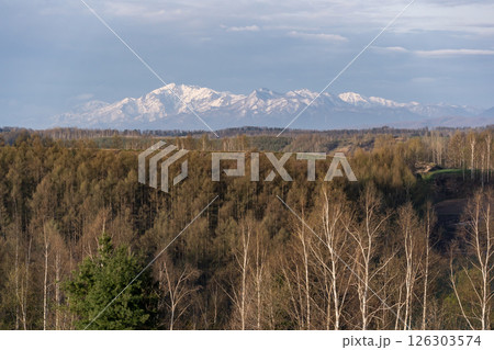 早春の丘と大地 早春の丘と大地 126303574