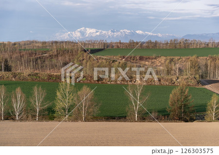 早春の丘と大地 126303575