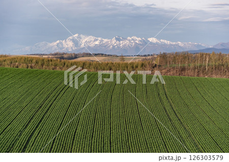 早春の丘と大地 126303579