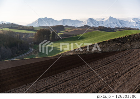 早春の丘と大地 早春の丘と大地 126303580