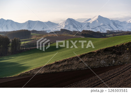 早春の丘と大地 126303581