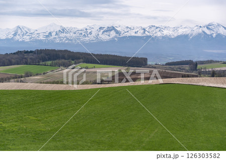 早春の丘と大地 早春の丘と大地 126303582