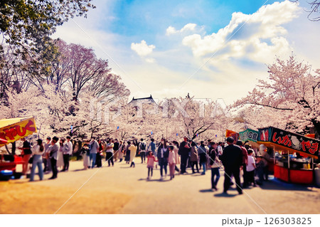 桜まつり 126303825