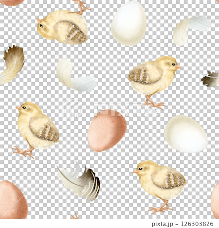 Cute baby chicks with chicken eggs and feathers watercolor seamless pattern on white. Farm birds for Easter repeat backgrounds or village designs. Fall domestic animals for textile and kids clothes 126303826