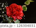 赤いカーネーションとカスミソウ 126304031