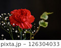 赤いカーネーションとカスミソウ 126304033