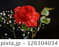 赤いカーネーションとカスミソウ 126304034