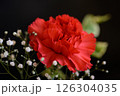 赤いカーネーションとカスミソウ 126304035