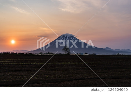 朝焼けの羊蹄山 126304040