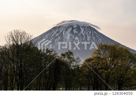 朝焼けの羊蹄山 126304050