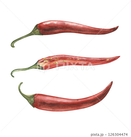 Whole and cut red chili pepper pods isolated on white background. Botanical watercolor hand drawn illustration of spicy vegetables with green stems. For packaging design, restaurant menu, kitchen Whole and cut red chili pepper pods isolated on white background. Botanical watercolor hand drawn illustration of spicy vegetables with green stems. For packaging design, restaurant menu, kitchen 126304474