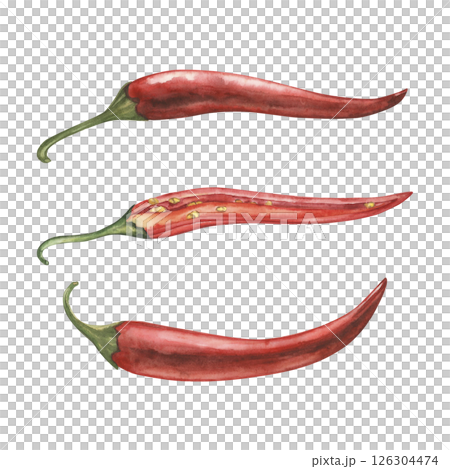 Whole and cut red chili pepper pods isolated on white background. Botanical watercolor hand drawn illustration of spicy vegetables with green stems. For packaging design, restaurant menu, kitchen Whole and cut red chili pepper pods isolated on white background. Botanical watercolor hand drawn illustration of spicy vegetables with green stems. For packaging design, restaurant menu, kitchen 126304474