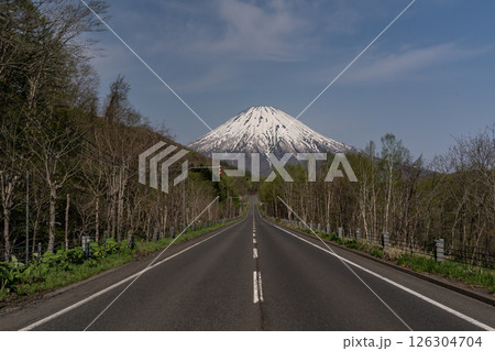 羊蹄山へ続く道 126304704