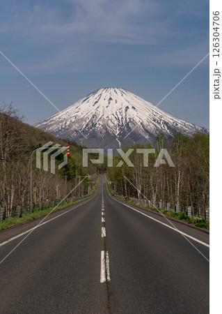 羊蹄山へ続く道 126304706