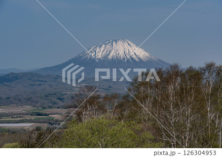早春の羊蹄山 早春の羊蹄山 126304953