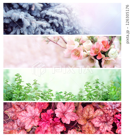 Set of horizontal nature banners. Four season of year. Each one features scene of nature, from the gentle snowfall of winter to the vibrant leaves of summer. Perfect for showcasing changing seasons 126305176