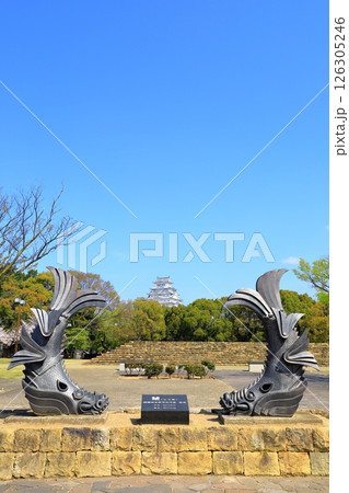 姫路城と満開の桜 126305246