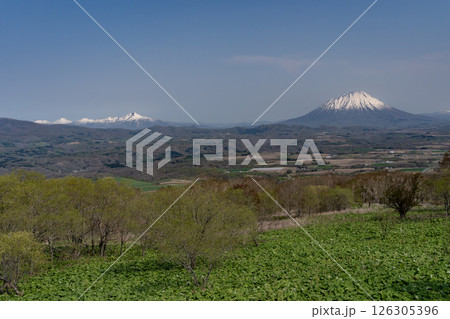 早春のニセコ地区 126305396