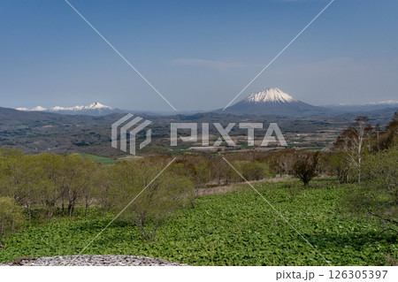 早春のニセコ地区 早春のニセコ地区 126305397
