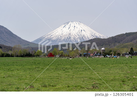 早春のニセコ地区 早春のニセコ地区 126305401