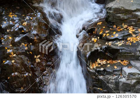 渓流に散った紅葉した葉 126305570