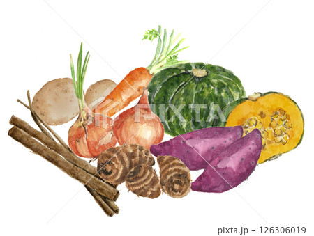 水彩で描いたいろいろな冬野菜のイラスト【手書き】白バック 切り抜き用 コピースペースあり 126306019