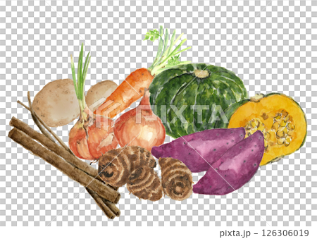 水彩で描いたいろいろな冬野菜のイラスト【手書き】白バック 切り抜き用 コピースペースあり 126306019
