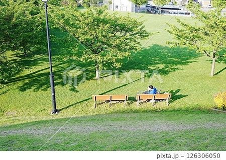 函館の高台で読書を楽しむひととき 126306050