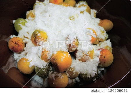 梅干し作りで甕に漬けられた梅と塩 梅干し作りで甕に漬けられた梅と塩 126306051