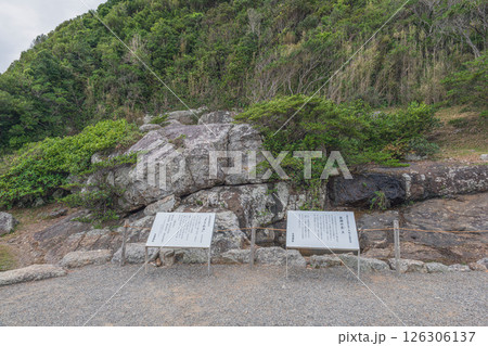 宮﨑 大御神社 さざれ石と龍神の霊 126306137