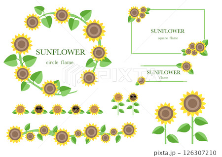 ひまわりの花 イラストフレームセット (文字あり) ベクター素材イラスト ひまわりの花 イラストフレームセット (文字あり) ベクター素材イラスト 126307210