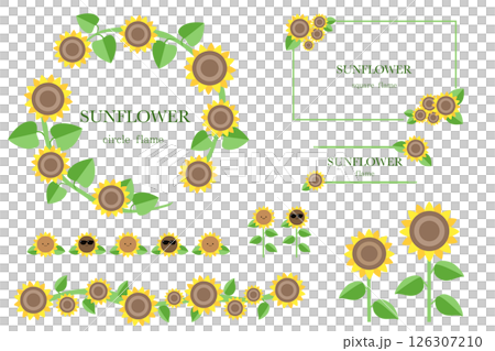 Sunflower flower illustration frame set (with text) Vector illustration 126307210