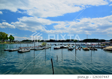 千葉県 手賀沼公園 ボート乗り場 千葉県 手賀沼公園 ボート乗り場 126307447