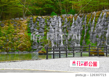 山中湖　花の都公園の景色 126307723